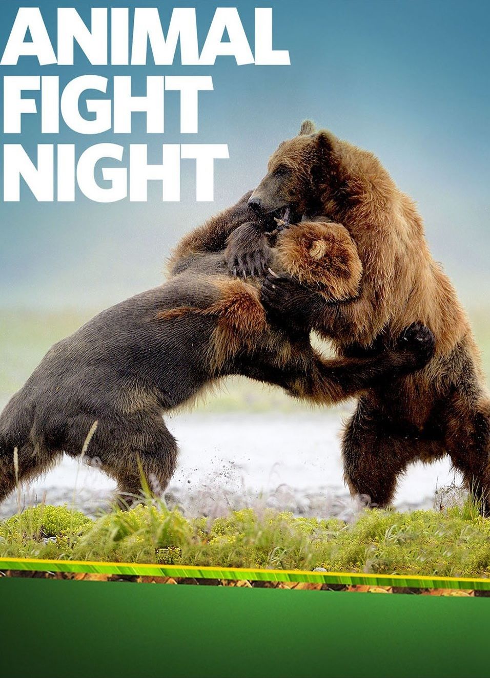 Animal Fight Night ne zaman