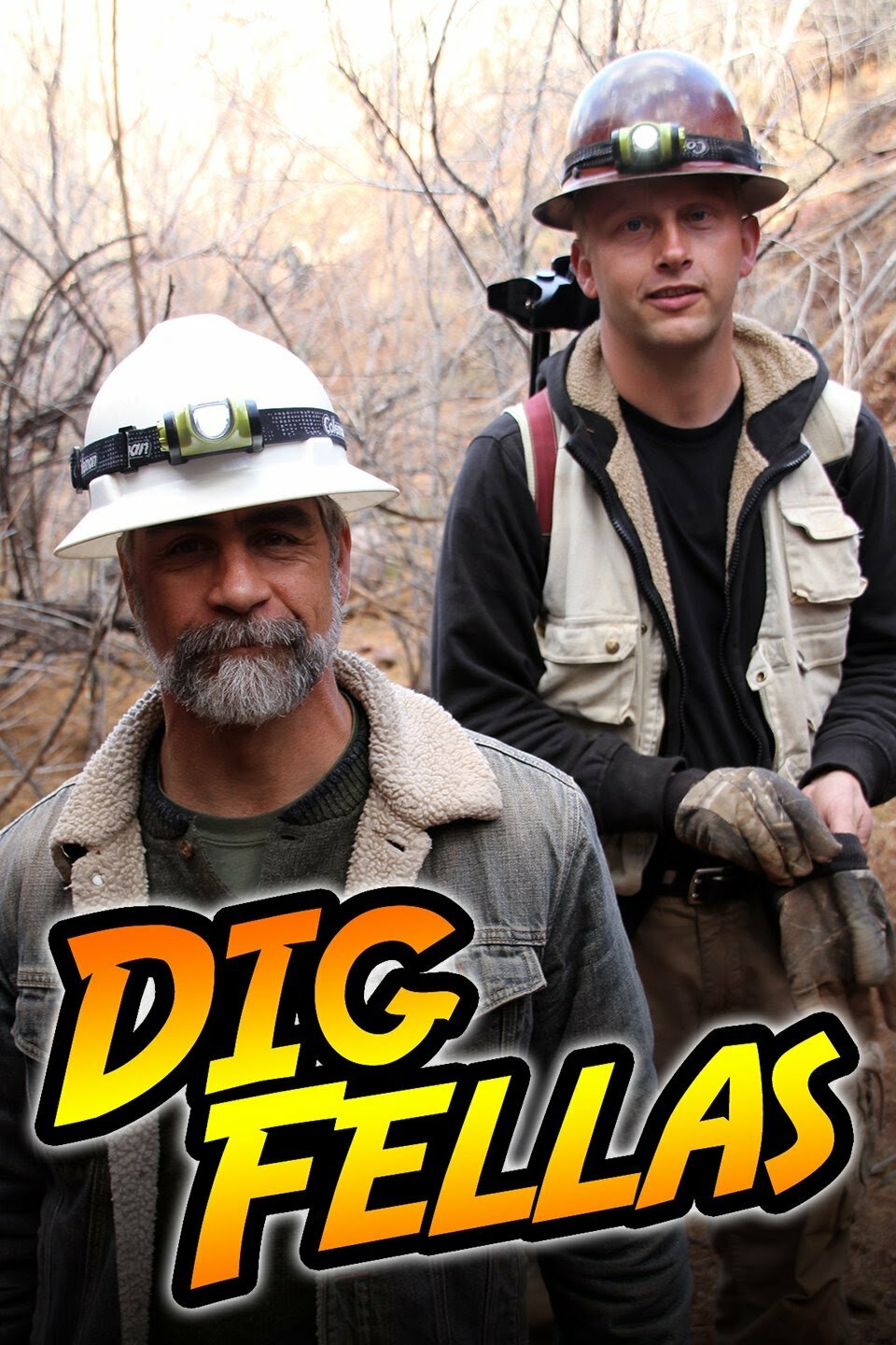 Digfellas ne zaman