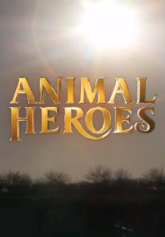 Animal Heroes ne zaman