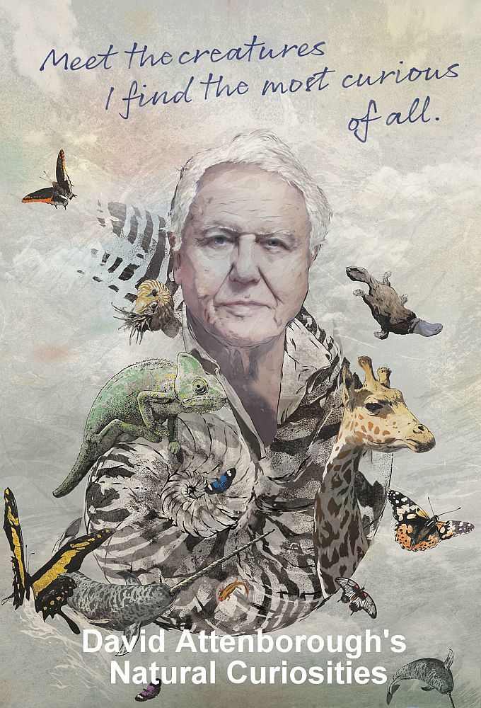 David Attenborough's Natural Curiosities ne zaman