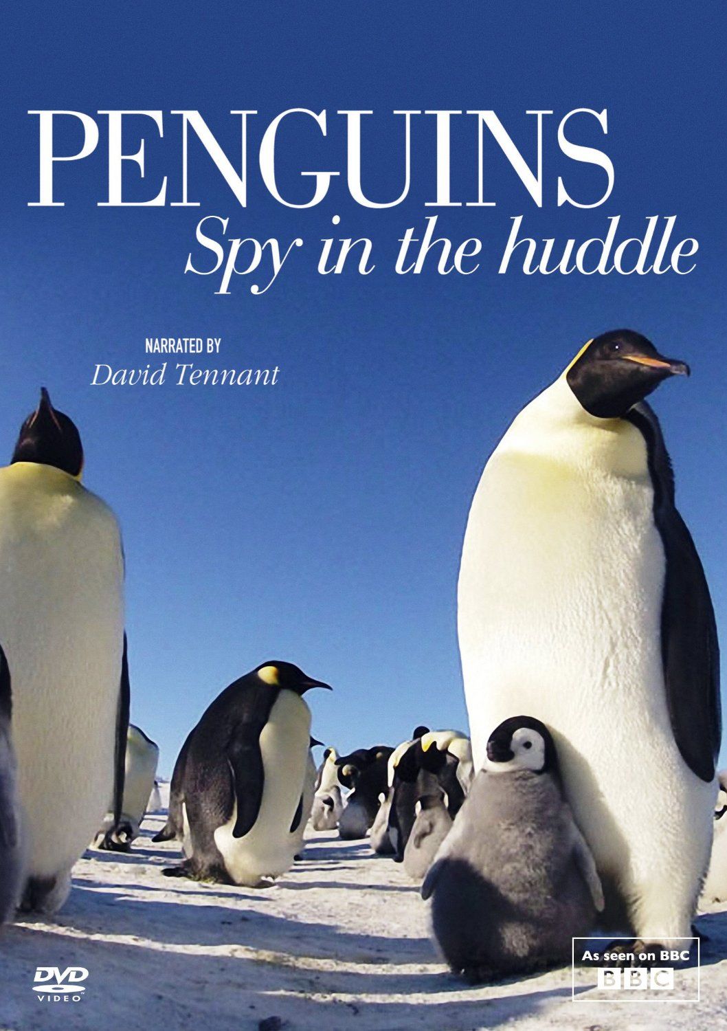 Penguins: Spy in the Huddle ne zaman