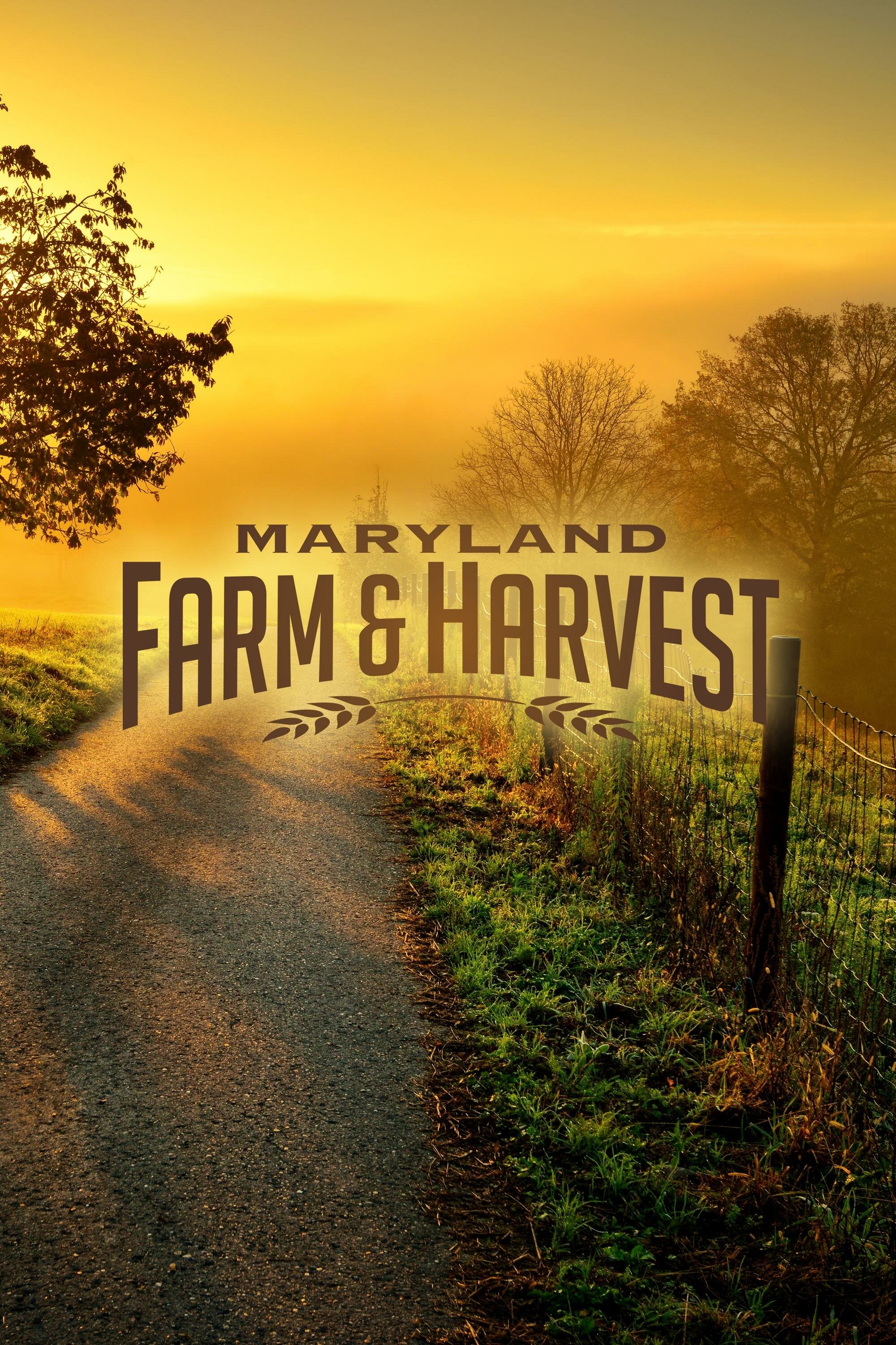 Maryland Farm & Harvest ne zaman
