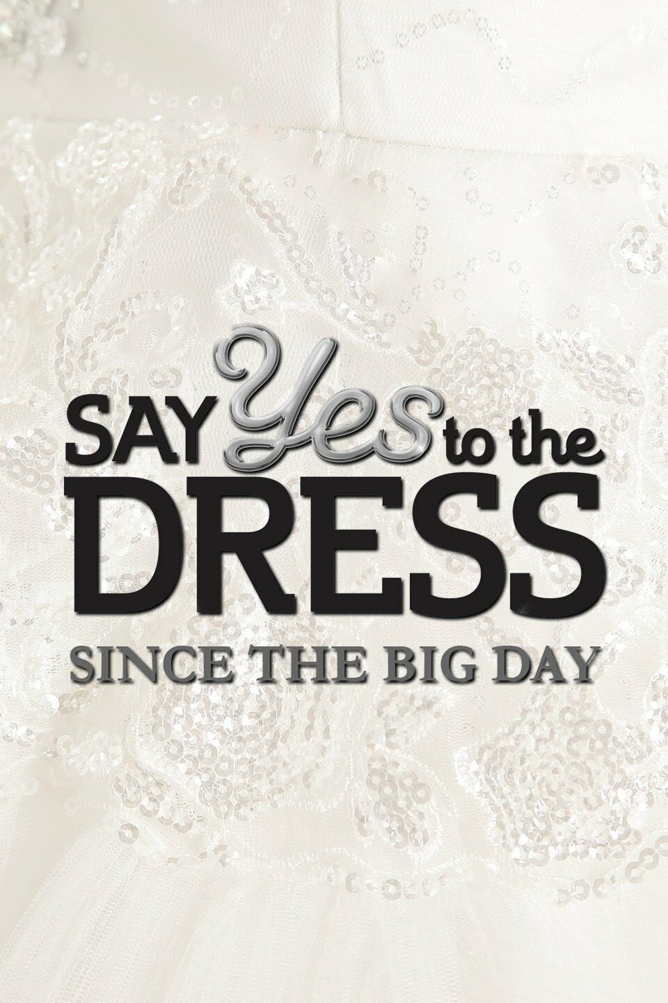 Say Yes to the Dress: Since the Big Day ne zaman
