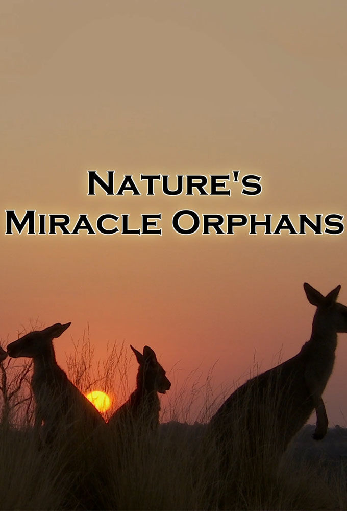 Nature's Miracle Orphans ne zaman