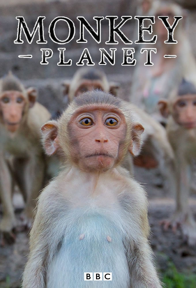 Monkey Planet ne zaman