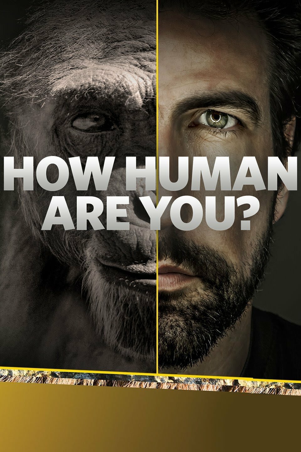 How Human Are You? ne zaman