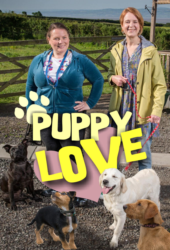 Puppy Love ne zaman