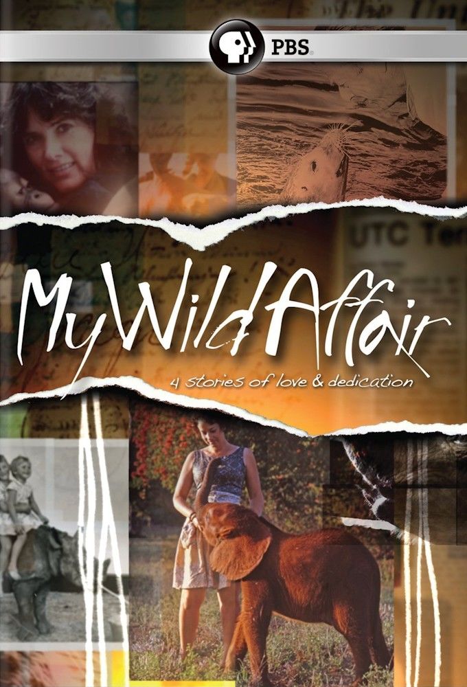 My Wild Affair ne zaman