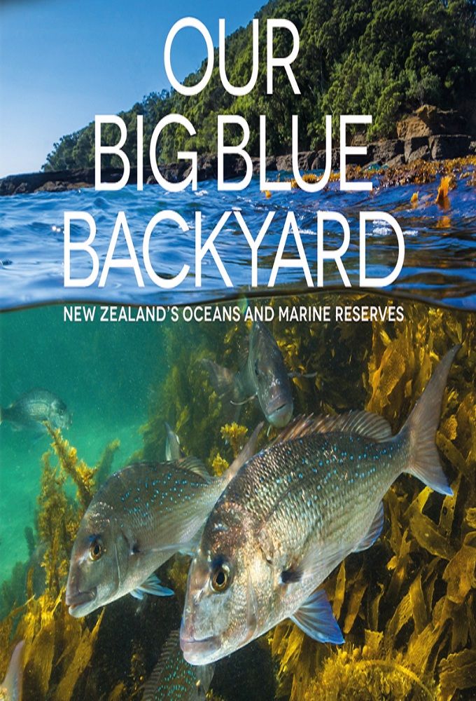 Our Big Blue Backyard ne zaman