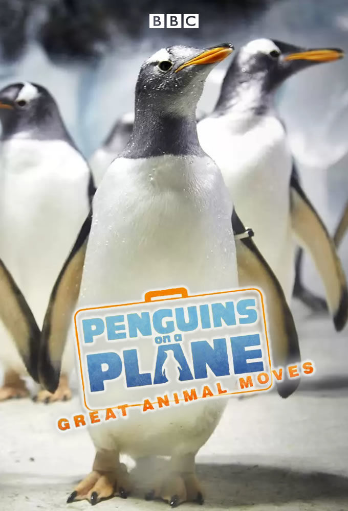 Penguins on a Plane: Great Animal Moves ne zaman