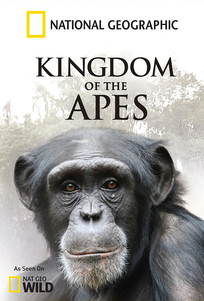 Kingdom of the Apes ne zaman
