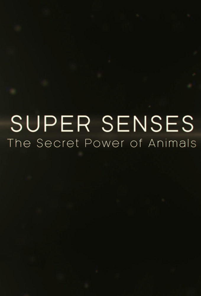 Super Senses: The Secret Power of Animals ne zaman