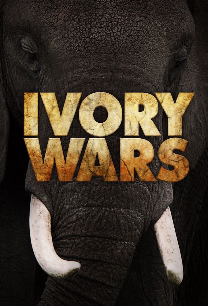 Ivory Wars ne zaman