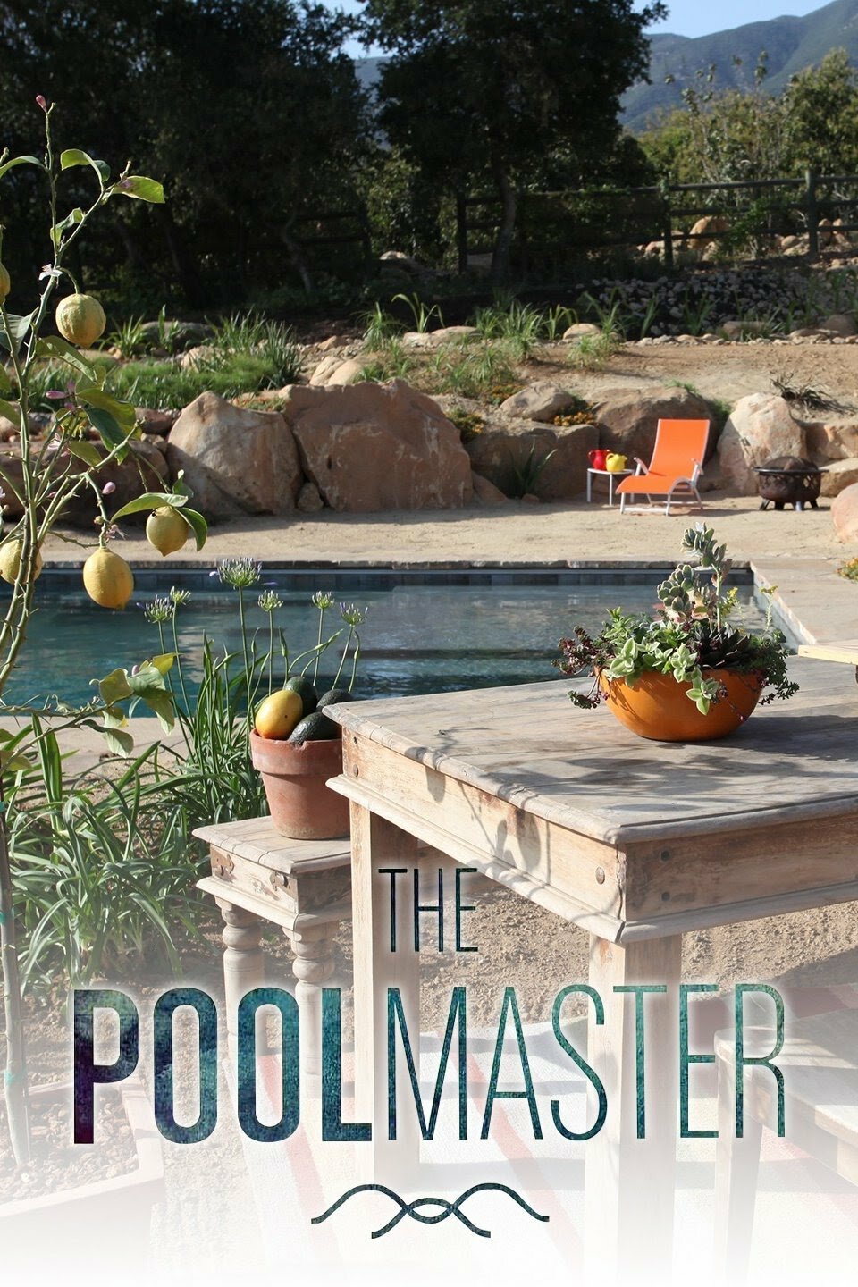 The Pool Master ne zaman