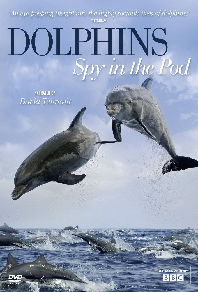 Dolphins: Spy in the Pod ne zaman
