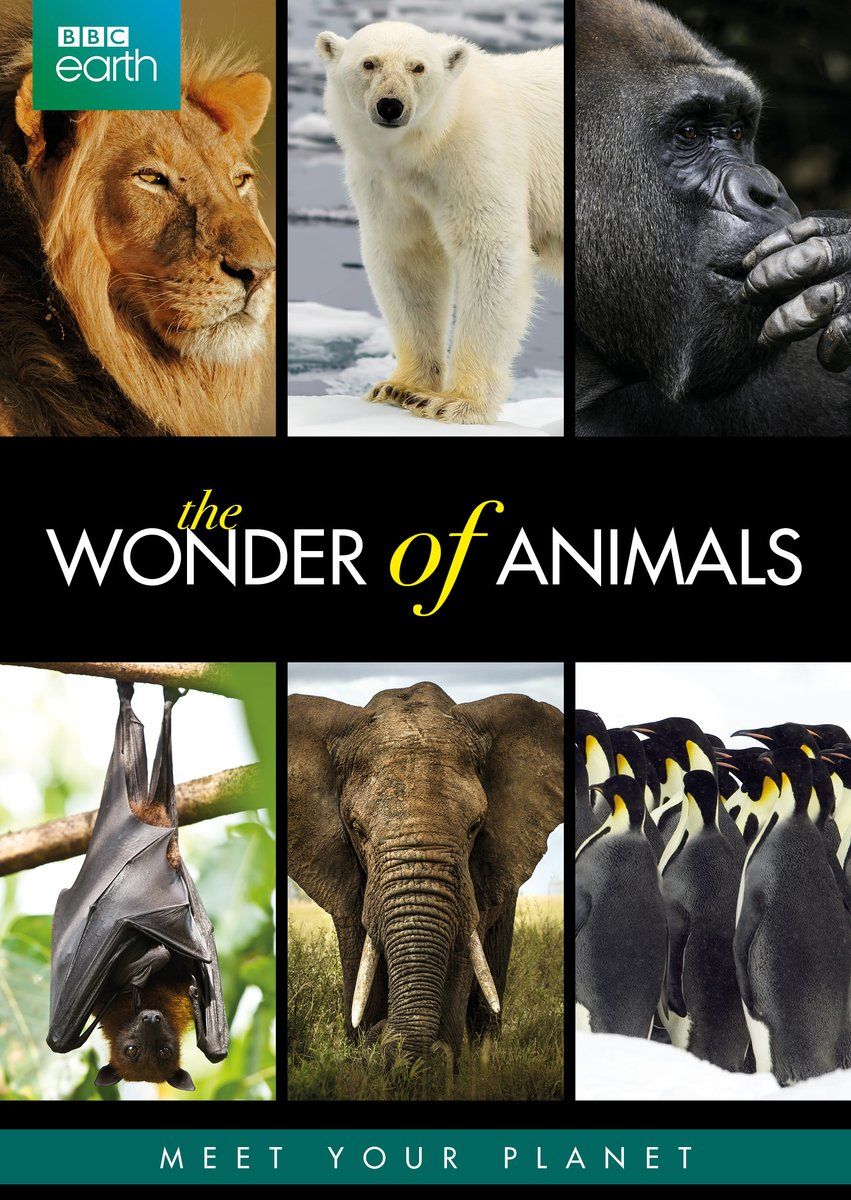 The Wonder of Animals ne zaman