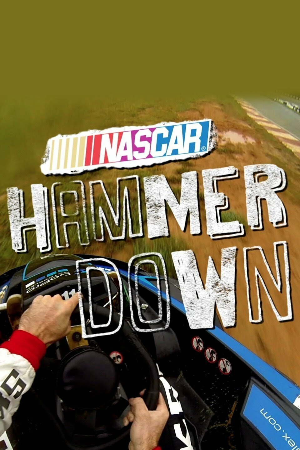 NASCAR Hammer Down ne zaman