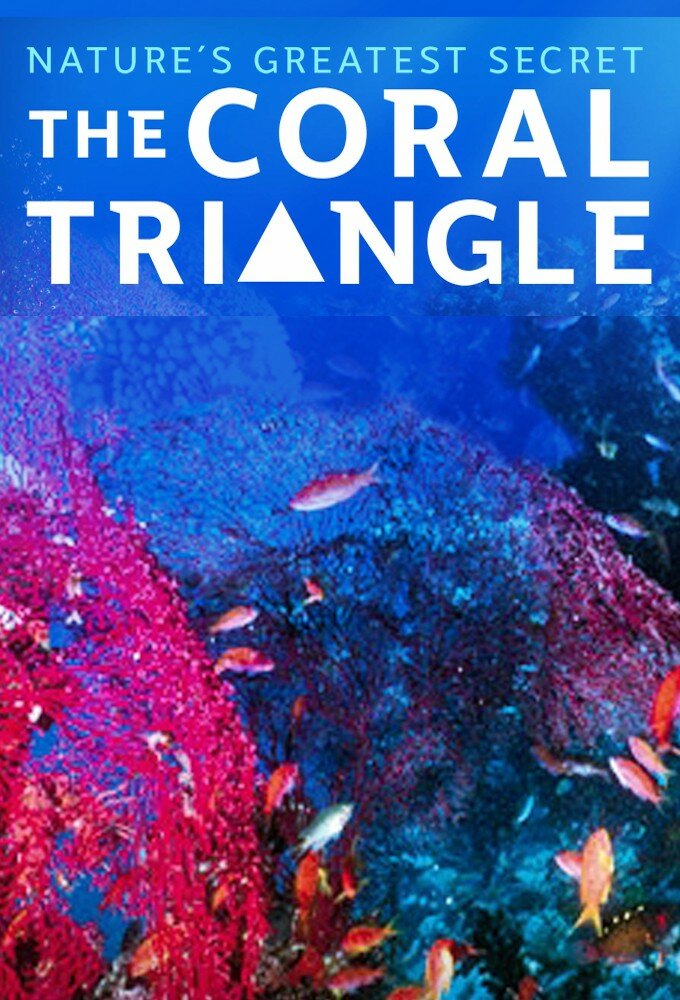 Coral Triangle ne zaman