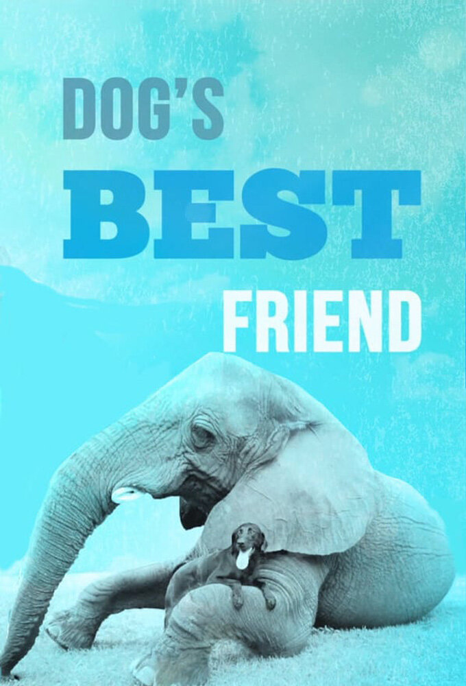 Dog's Best Friend ne zaman