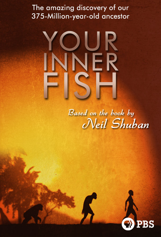 Your Inner Fish ne zaman