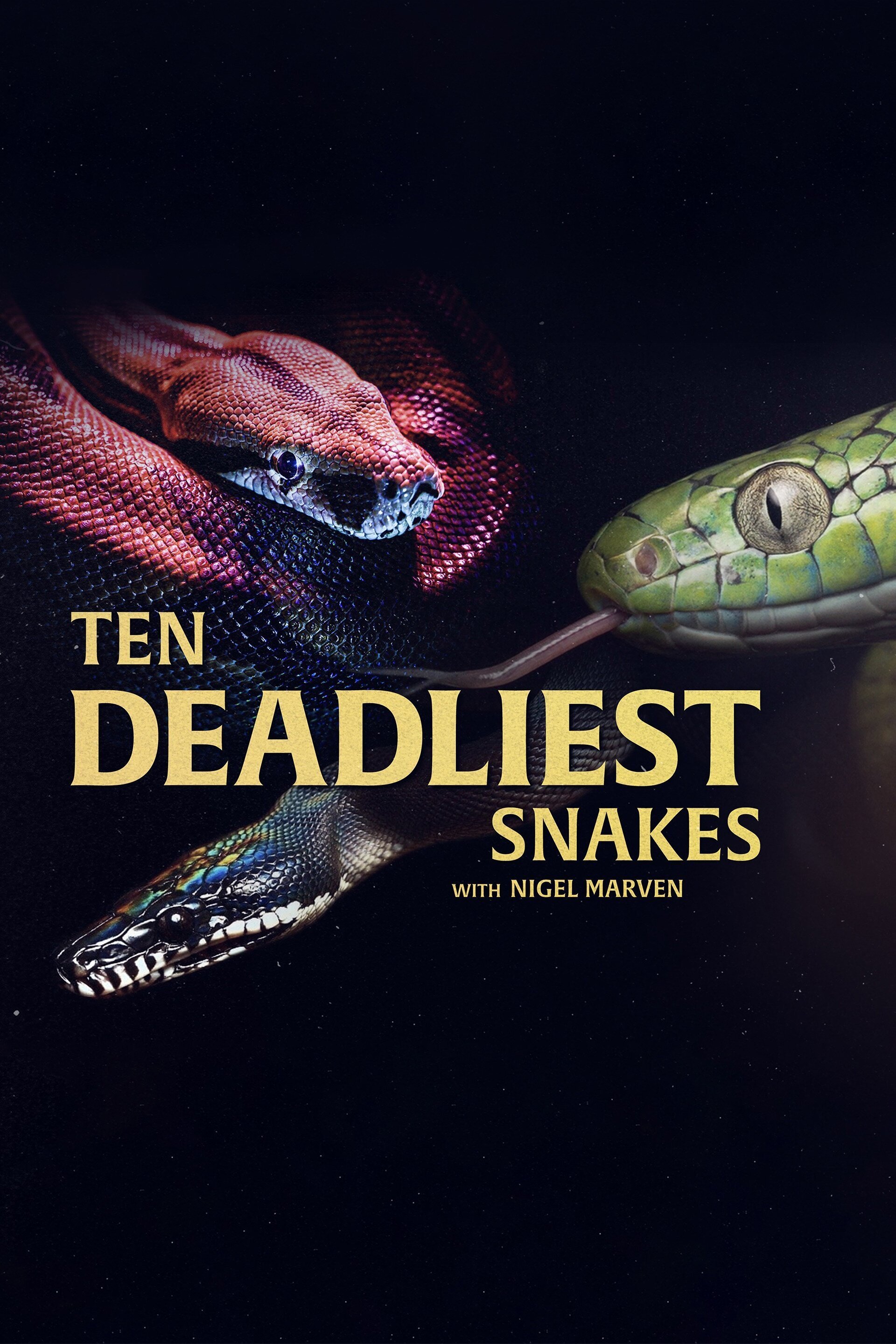 Ten Deadliest Snakes with Nigel Marven Yeni Bölüm Ne Zaman? - NeZaman.be