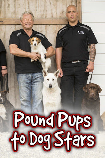 Pound Pups To Dog Stars ne zaman
