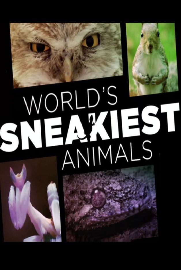 World's Sneakiest Animals ne zaman