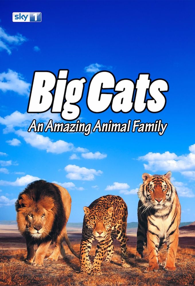 Big Cats: An Amazing Animal Family ne zaman