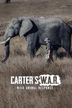 Carter's W.A.R. (Wild Animal Response) ne zaman