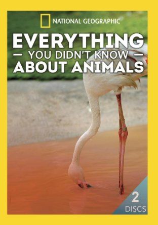 Everything You Didn't Know About Animals ne zaman