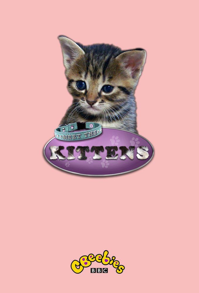 Meet the Kittens ne zaman