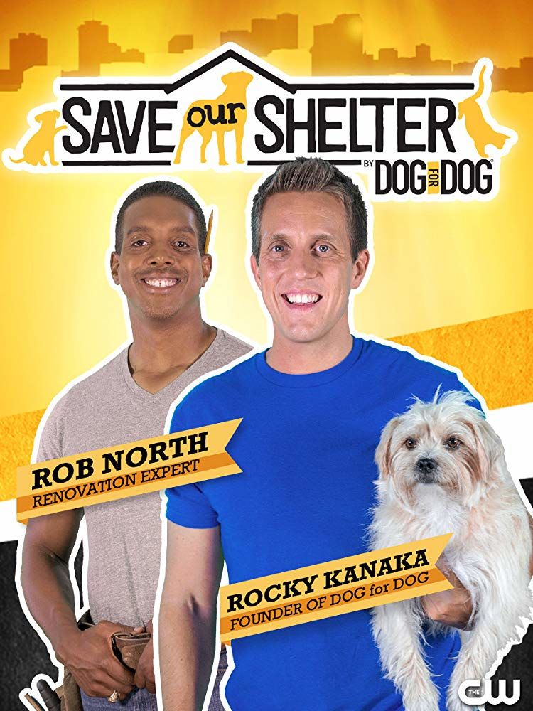 Save Our Shelter ne zaman