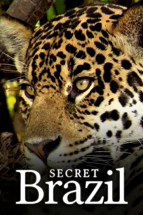 Secret Brazil ne zaman