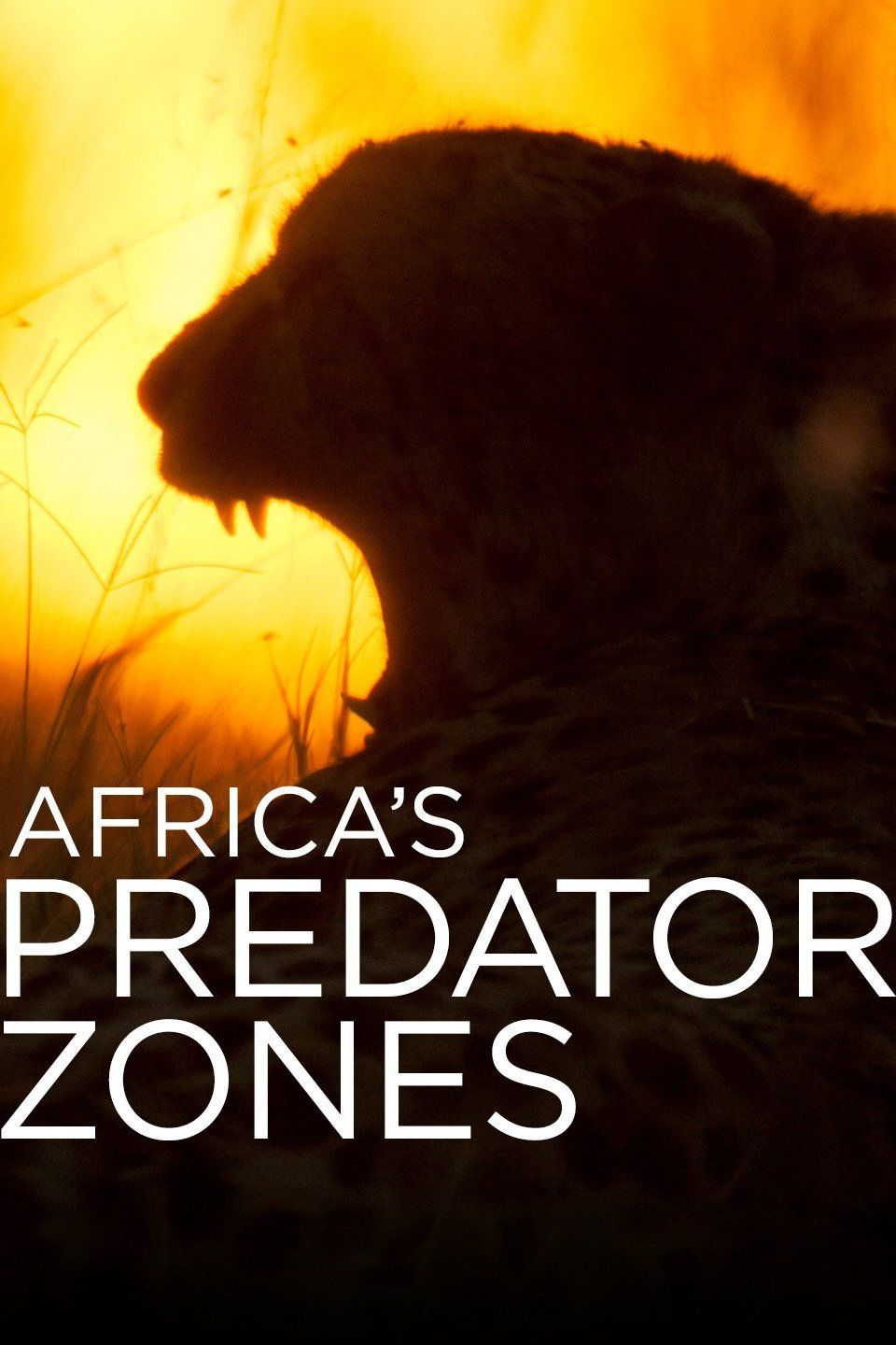Africa's Predator Zones ne zaman