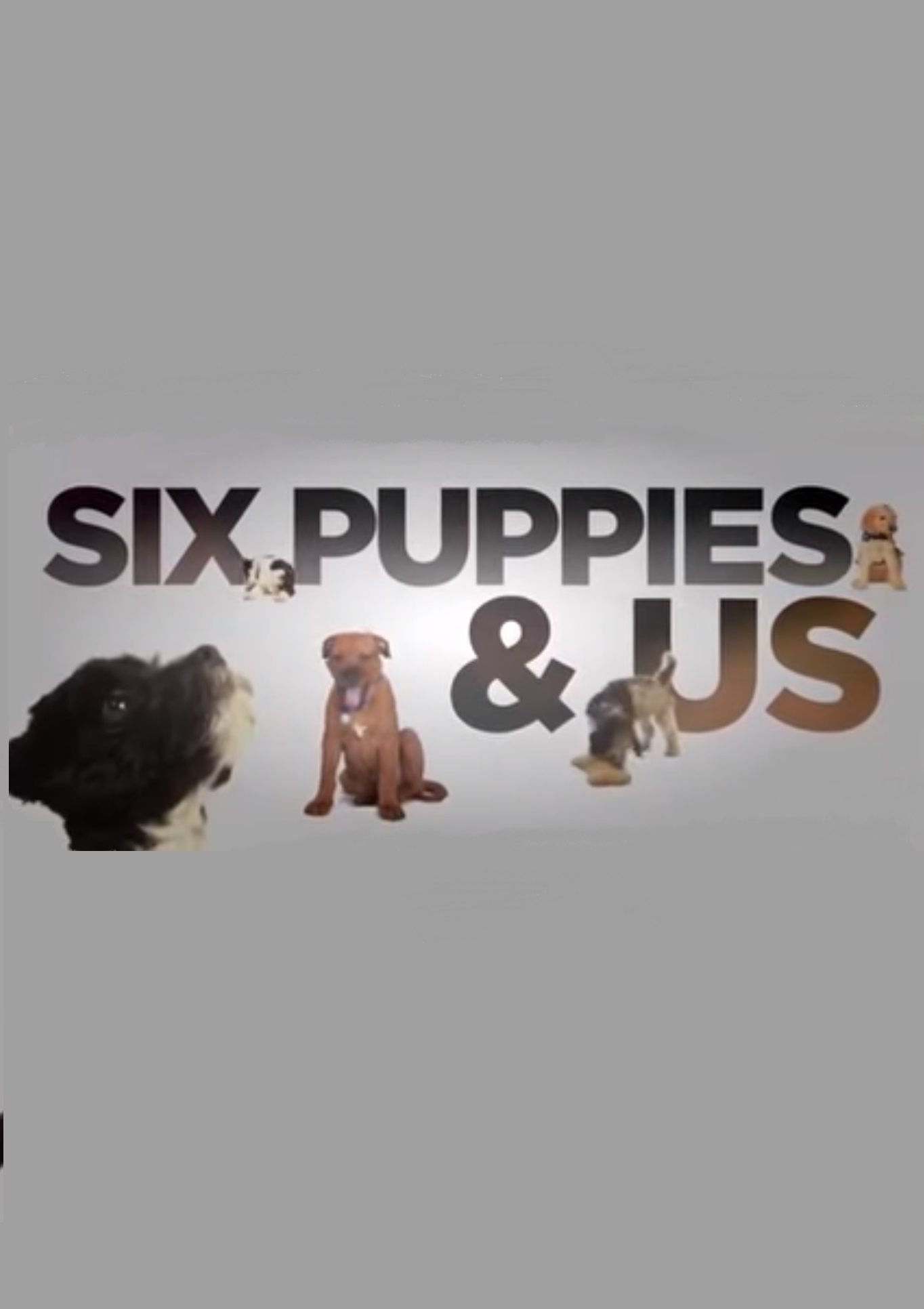 Six Puppies and Us ne zaman