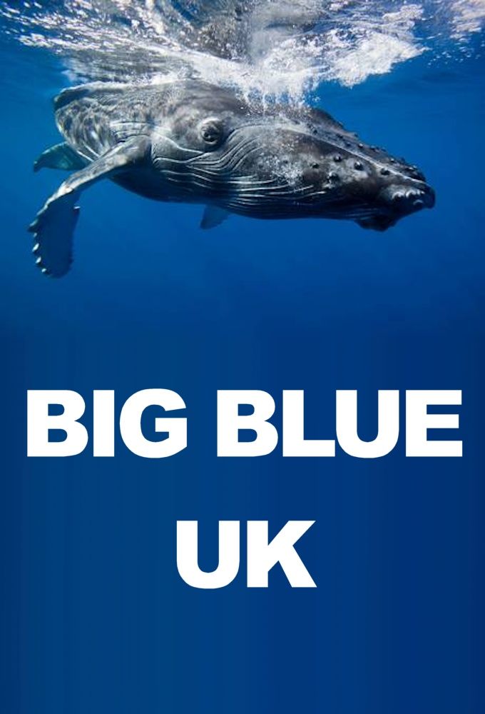 Big Blue UK ne zaman