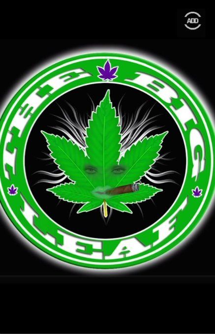 The Big Leaf ne zaman