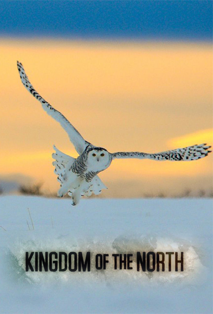 Kingdom of the North ne zaman