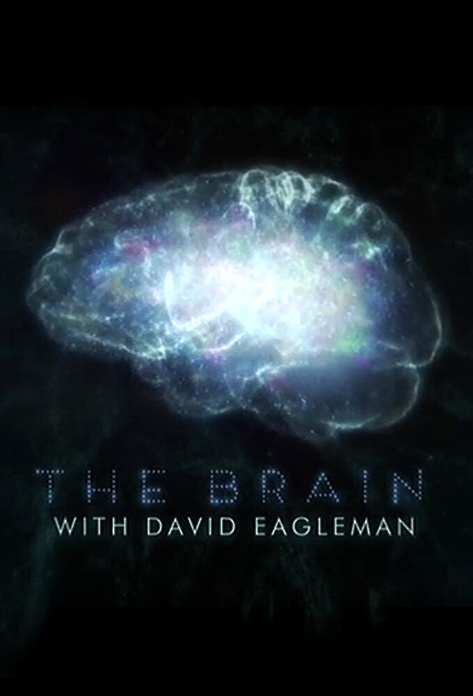 The Brain with David Eagleman ne zaman