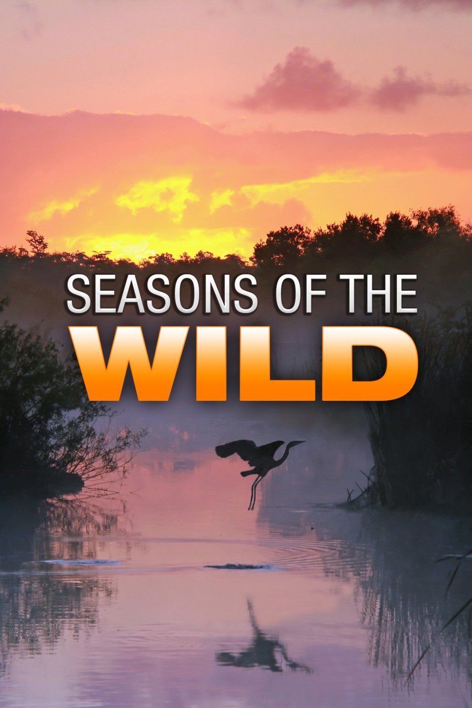 Seasons of the Wild ne zaman