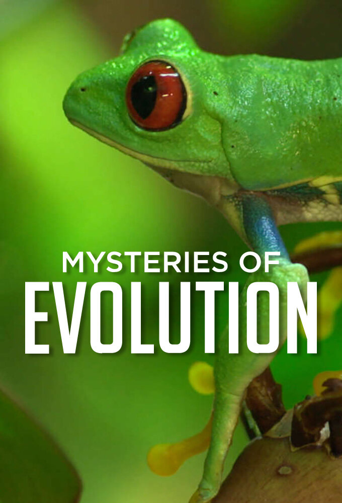 Mysteries of Evolution ne zaman
