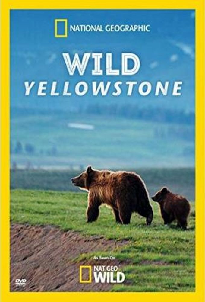 Wild Yellowstone ne zaman
