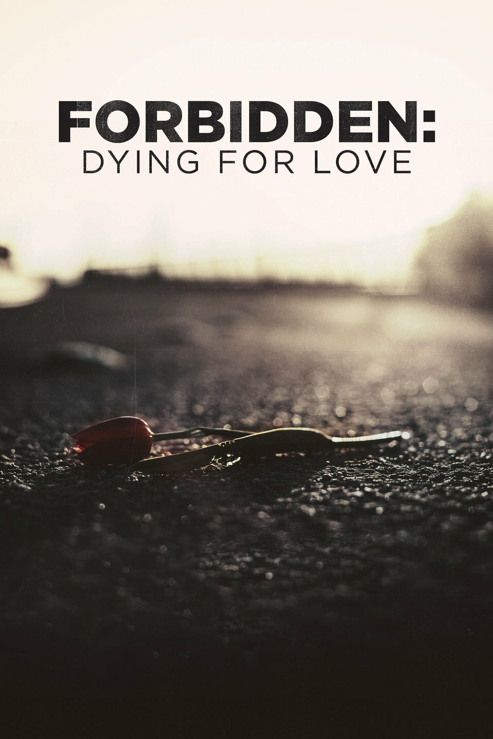 Forbidden: Dying for Love ne zaman
