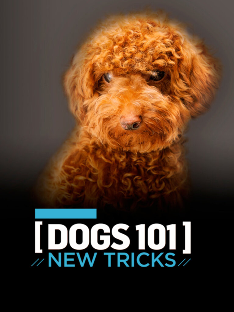 Dogs 101: New Tricks ne zaman