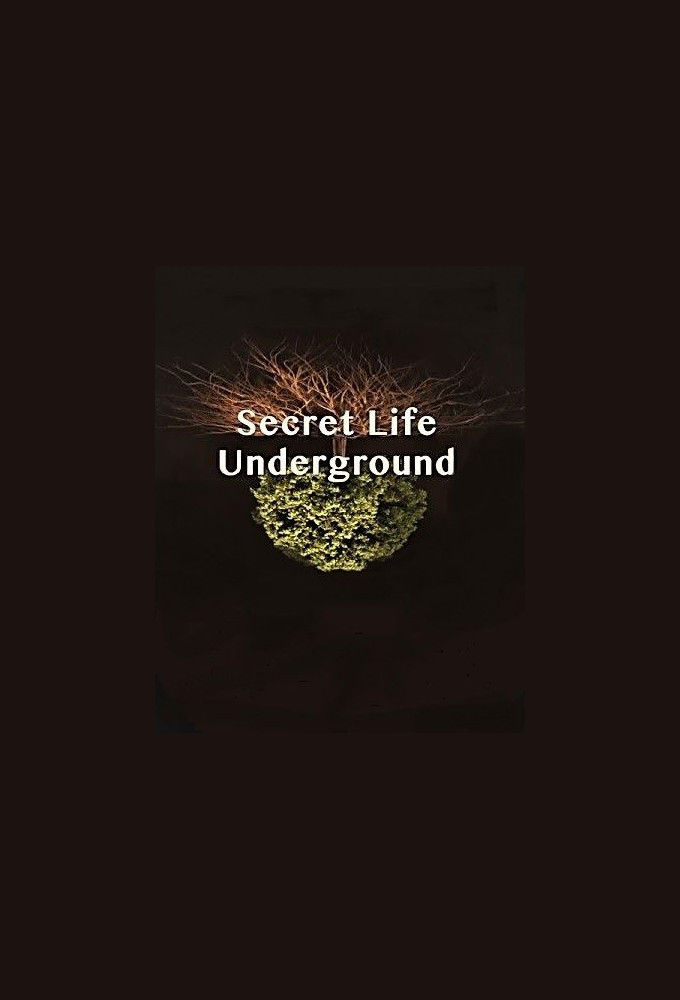 Secret Life Underground ne zaman