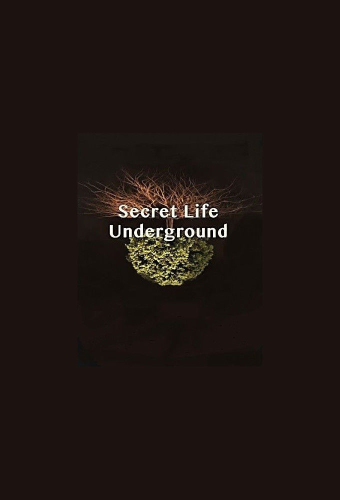 Secret Life Underground ne zaman