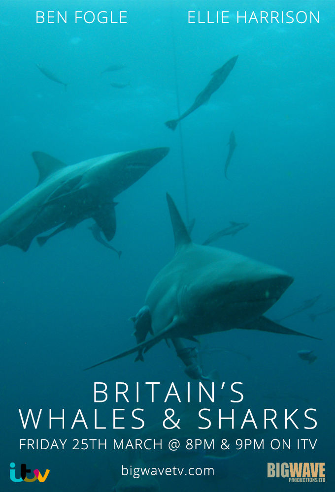 Britain's Whales and Sharks ne zaman