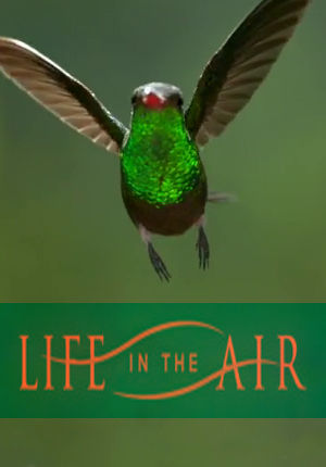 Life in the Air ne zaman