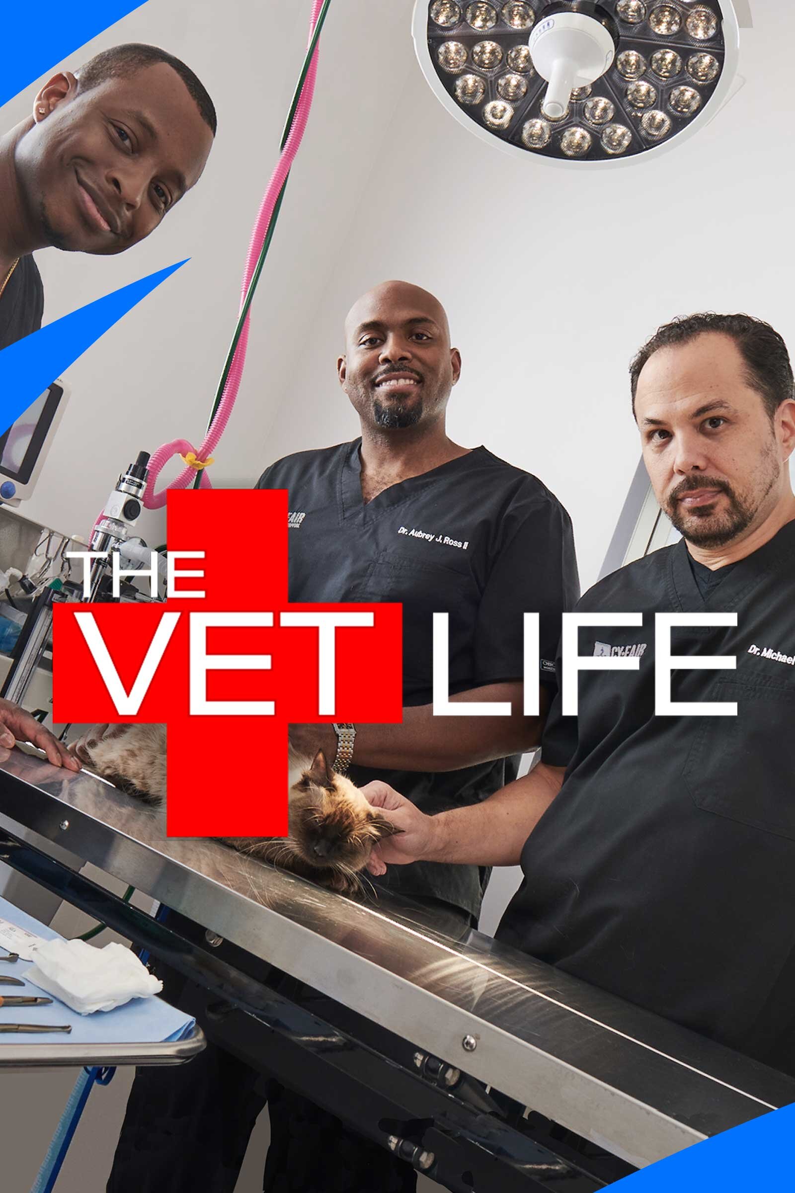 The Vet Life ne zaman