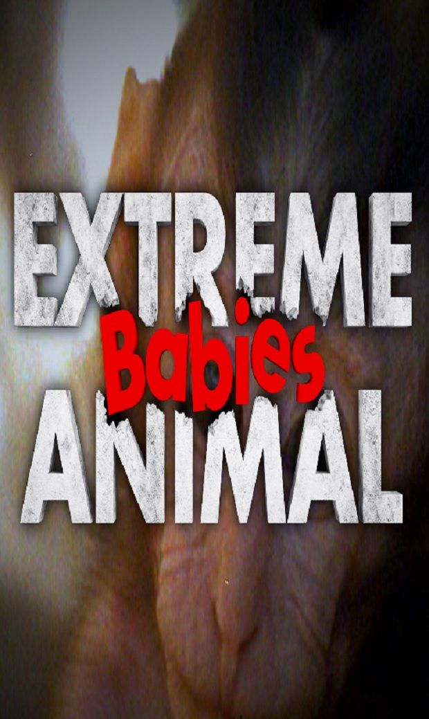 Extreme Animal Babies ne zaman